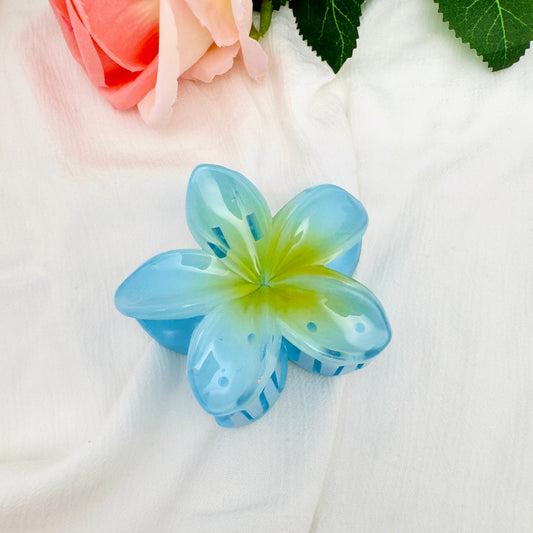 Pince à cheveux Fleur couleurs