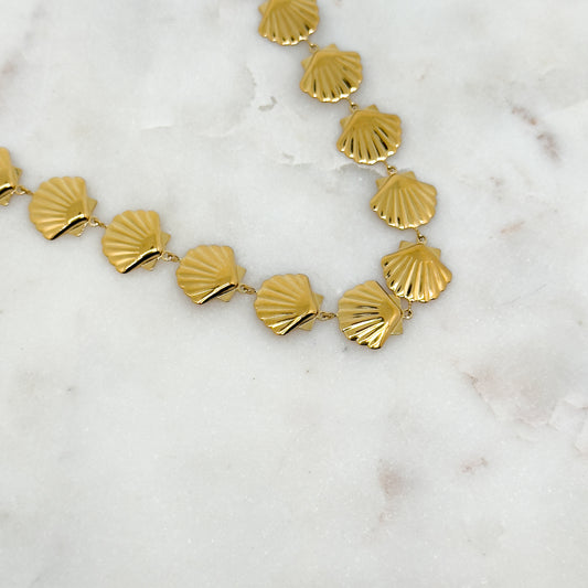 Collier Coquillage