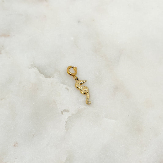 Charm Hippocampe