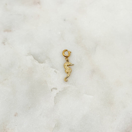 Charm Hippocampe