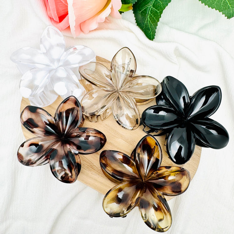 Accessoires
