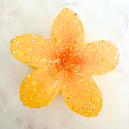 Pince à cheveux Fleur Strass