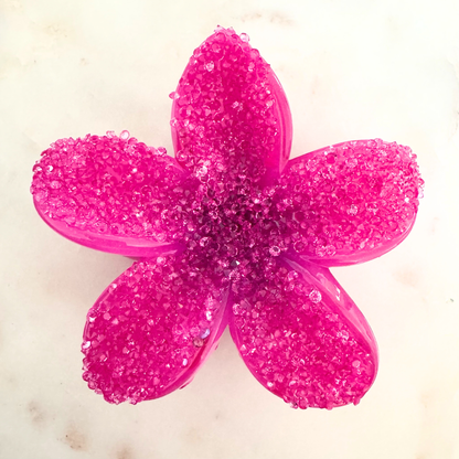 Pince à cheveux Fleur Strass