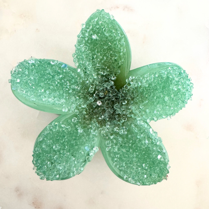 Pince à cheveux Fleur Strass