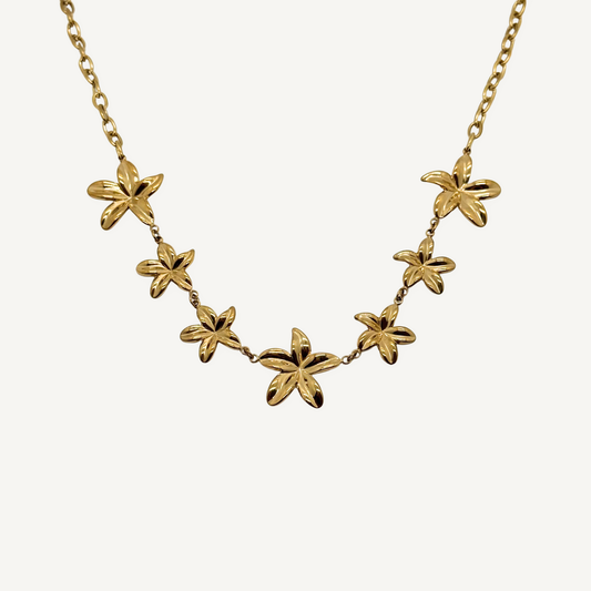 Collier Lyse