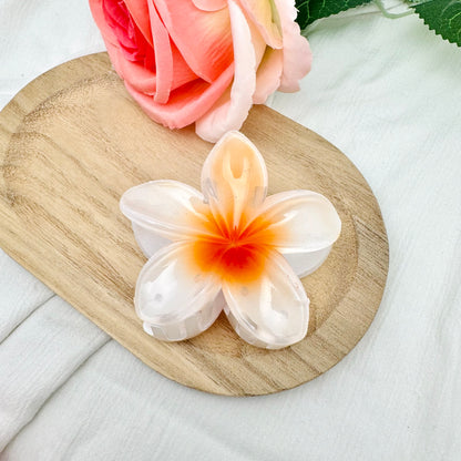 Pince à cheveux Fleur couleurs