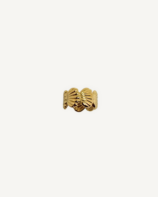 Bague d'oreilles Coquillage
