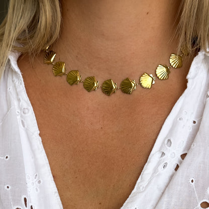 Collier Coquillage