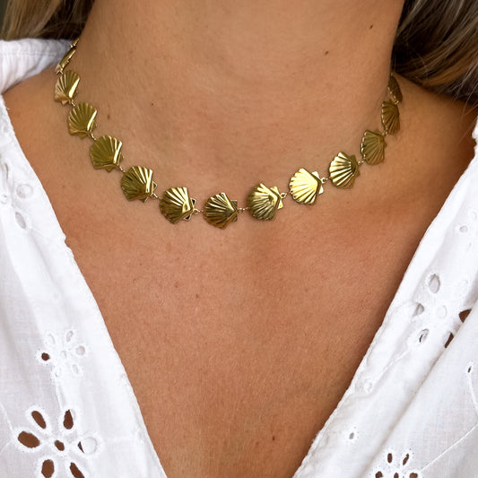 Collier Coquillage
