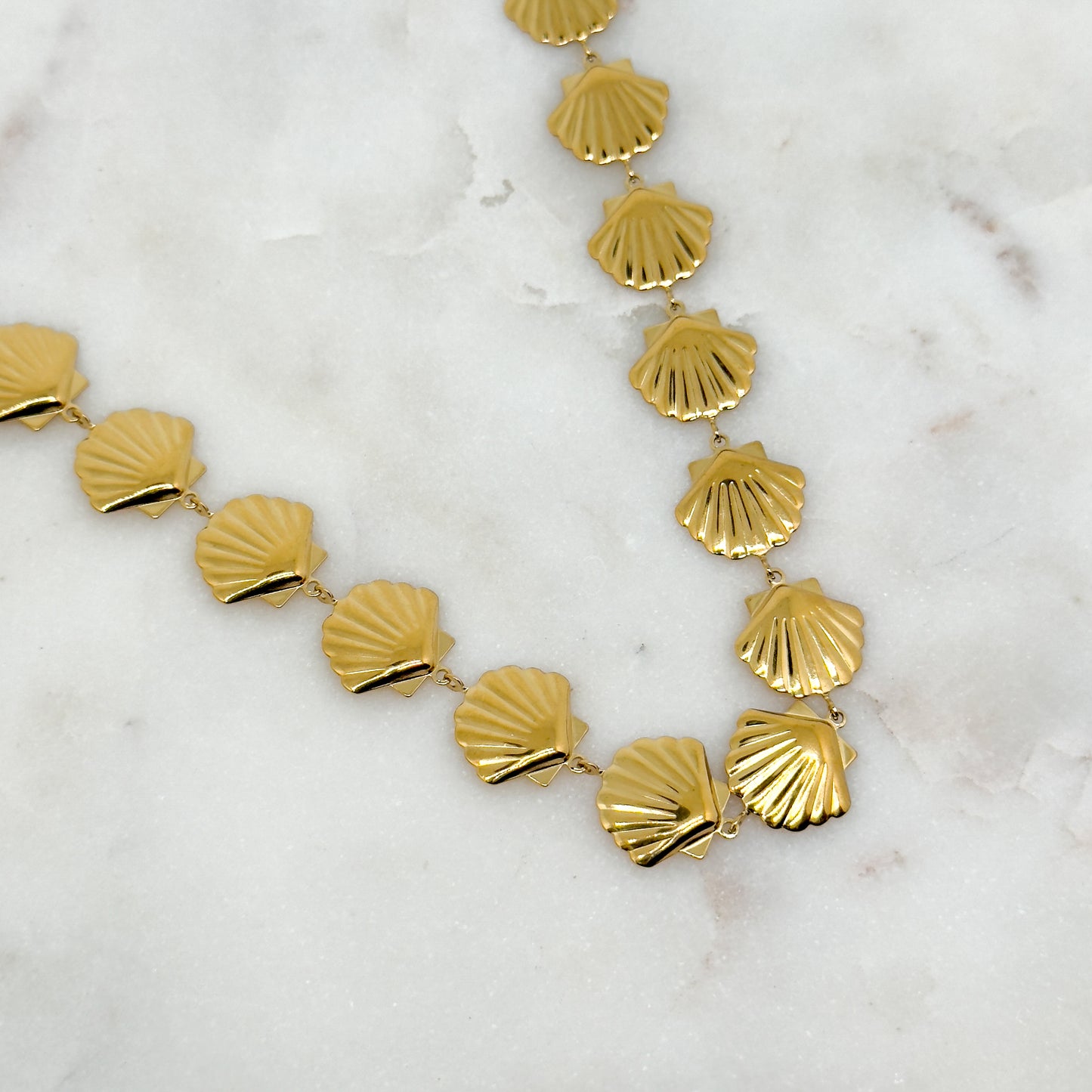 Collier Coquillage