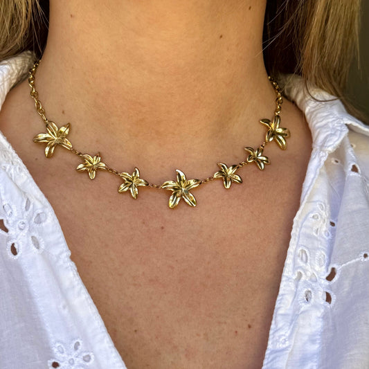 Collier Lyse